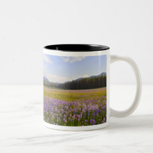 Wildblume von Penstemon im 2. Zweifarbige Tasse