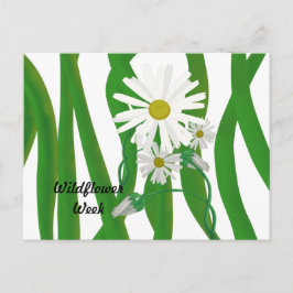 Wildblume Week Daisy Postkarte