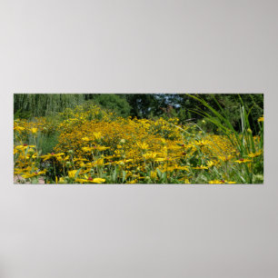 Wildblume Wiese Panorama Poster