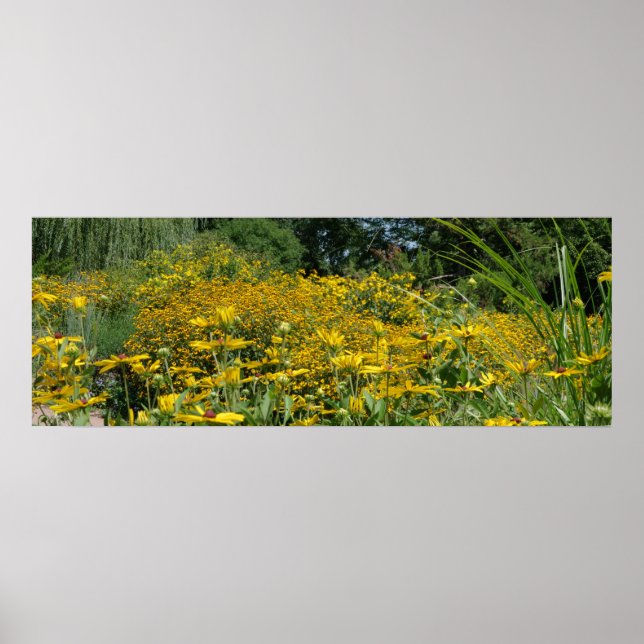 Wildblume Wiese Panorama Poster (Vorne)