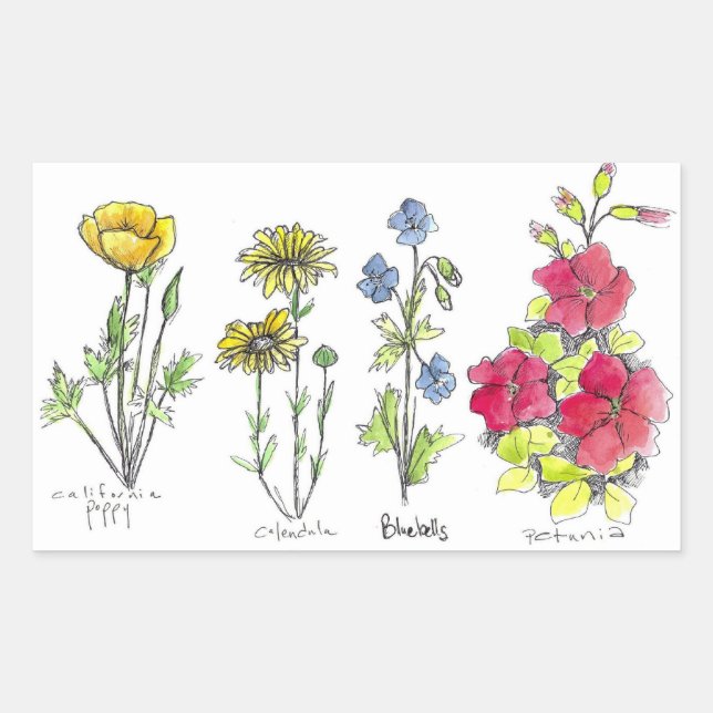 Wildblume Zeichnend Schwarzer Farbstift Wasserfarb Rechteckiger Aufkleber (Vorderseite)