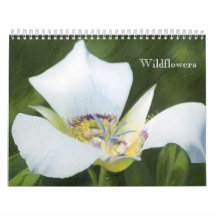Wildblume-Zeichnungs-Kalender des Western-Co