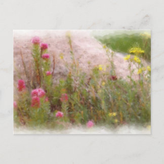 WILDBLUMEN 1 POSTKARTE