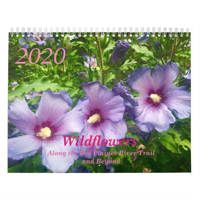 Wildblumen 2020 Kalender (Titelbild)
