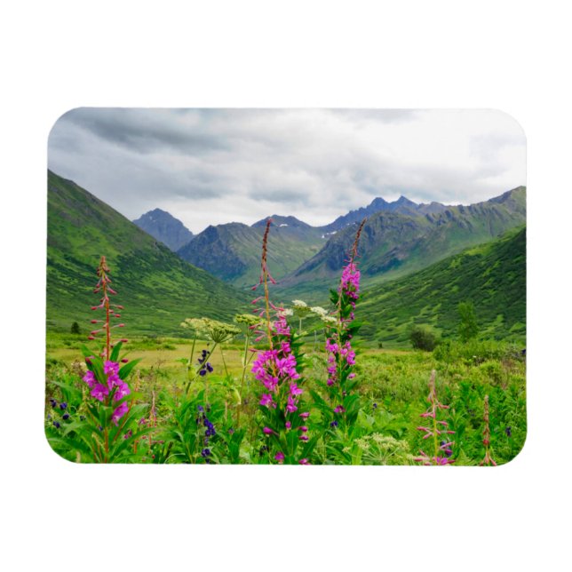 Wildblumen Alaskan Valley Magnet (Horizontal)