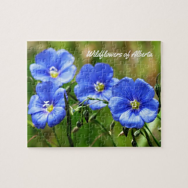 Wildblumen Alberta, Kanada - Naturschutzgebiet Puzzle (Horizontal)