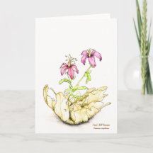 Wildblumen-Aquarell-Geranie innen leer