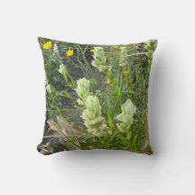 Wildblumen Arbutus und Indianerpinsel 2-seitig