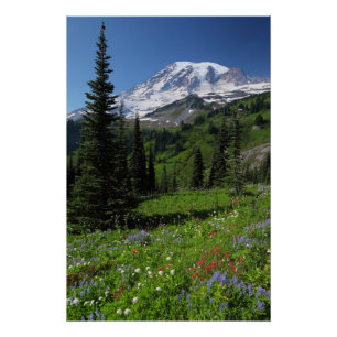 Wildblumen auf dem Rainier Poster