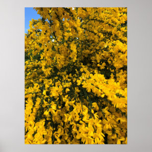 Wildblumen auf dem Weg, Oregon Poster