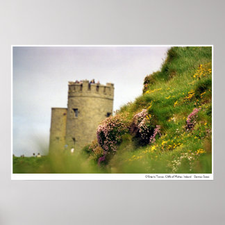 Wildblumen bei den Klippen von Moher, Irland Poster