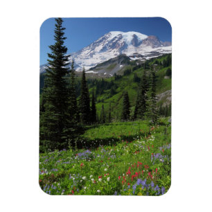 Wildblumen beim Mount Rainier Magnet