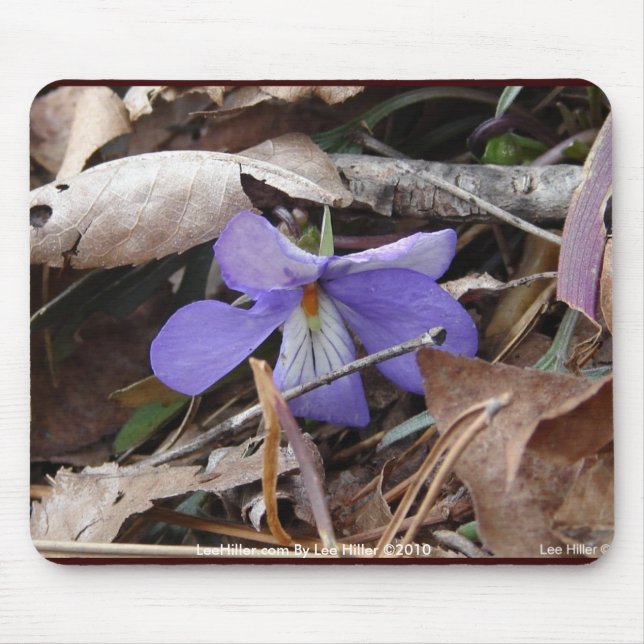 Wildblumen Birds-Foot Violet Hot Springs AR Gesche Mousepad (Vorne)