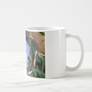 Wildblumen Birds-Foot Violet IV Hot Springs Gesche Kaffeetasse