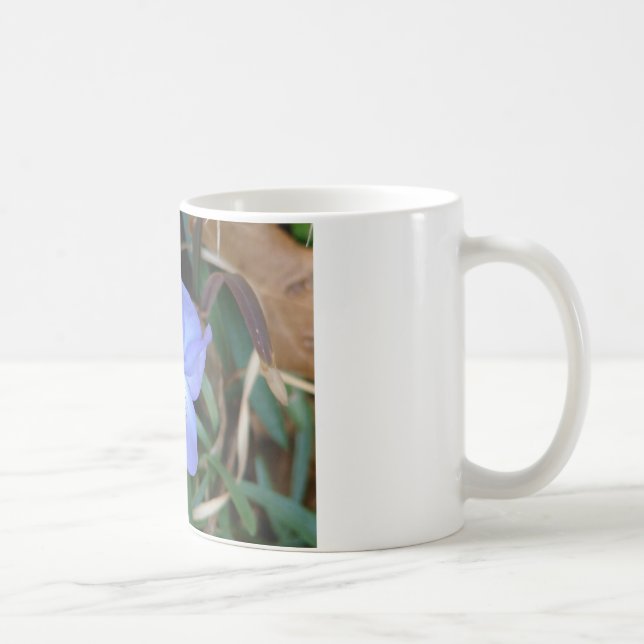 Wildblumen Birds-Foot Violet IV Hot Springs Gesche Kaffeetasse (Rechts)