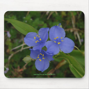 Wildblumen Blaue Tradeskantie Hot Springs AR Gesch Mousepad