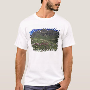 Wildblumen, blühend, Alpen, Schweiz T-Shirt