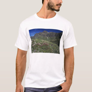 Wildblumen, blühend, Alpen, Schweiz T-Shirt