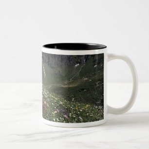 Wildblumen, blühend, Alpen, Schweiz Zweifarbige Tasse