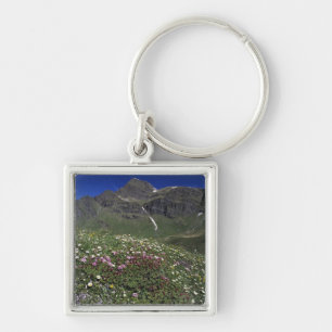 Wildblumen, Blüten, Alpen, Schweiz Schlüsselanhänger