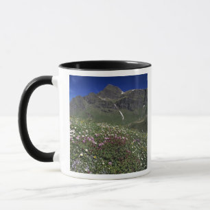 Wildblumen, Blüten, Alpen, Schweiz Tasse