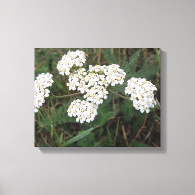 Wildblumen Canvas Leinwanddruck (Vorderseite)