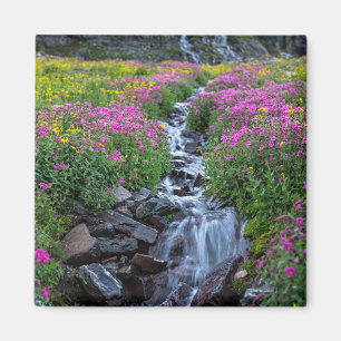 Wildblumen, Clements Mountain, Montana Magnet
