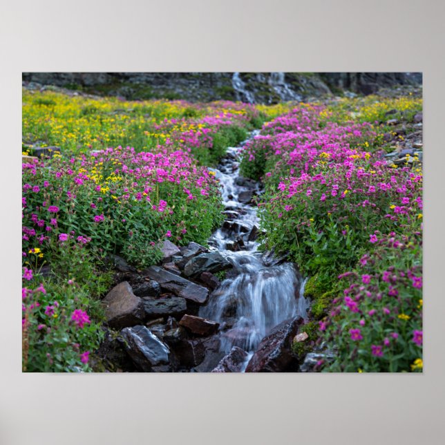 Wildblumen, Clements Mountain, Montana Poster (Vorne)