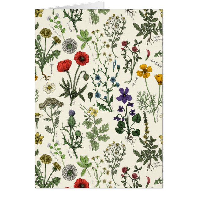 Wildblumen-Collage (Vorne)