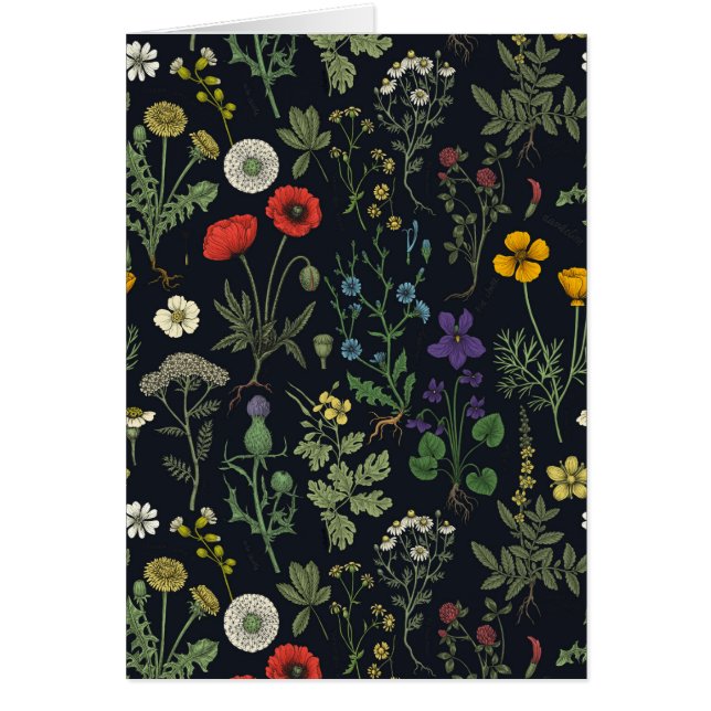 Wildblumen-Collage (Vorne)