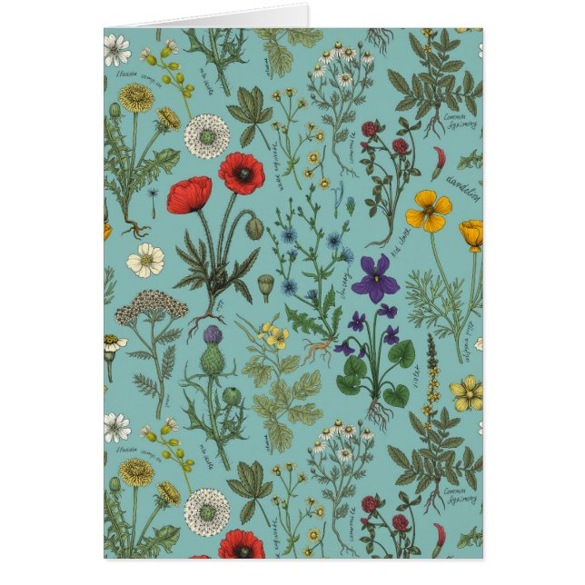 Wildblumen-Collage auf Blau (Vorne)