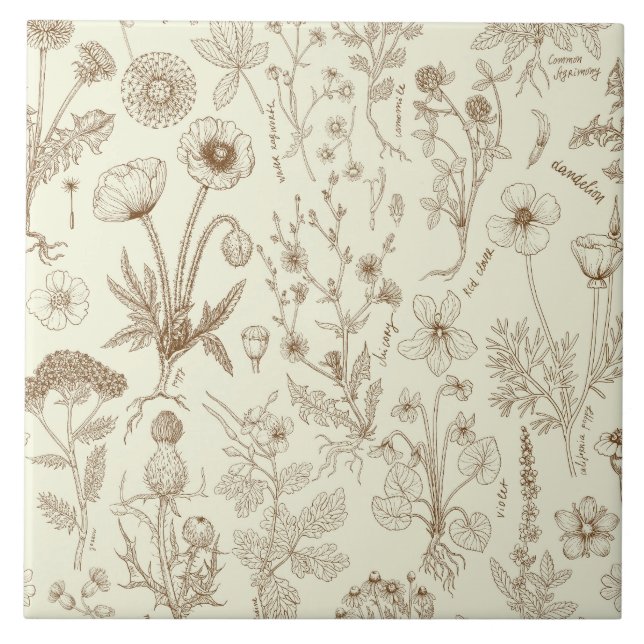 Wildblumen-Collage/ beige und sepia Fliese (Vorderseite)