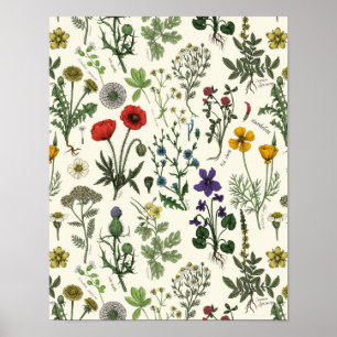Wildblumen-Collage Poster