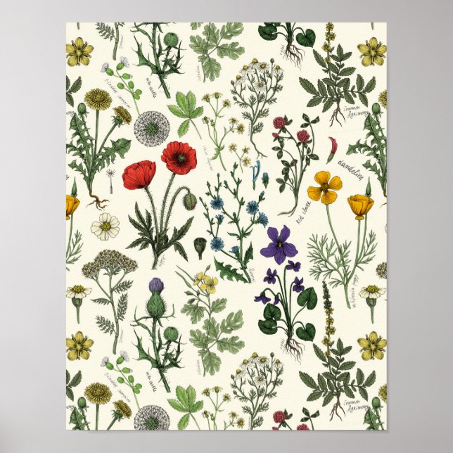 Wildblumen-Collage Poster (Vorne)