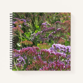 Wildblumen, Cove La Jolla, Kalifornien Notizbuch