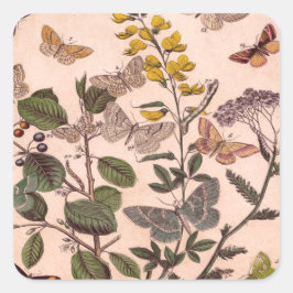 Wildblumen der Vintagen botanischen Blumenbilder Quadratischer Aufkleber