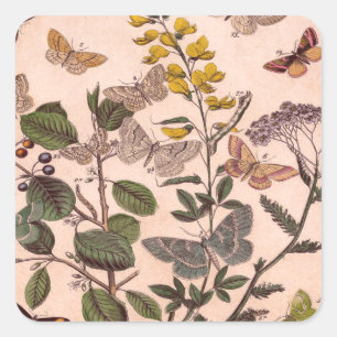 Wildblumen der Vintagen botanischen Blumenbilder Quadratischer Aufkleber