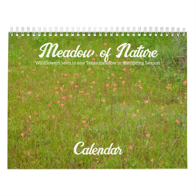 Wildblumen der Wiese Kalender (Titelbild)