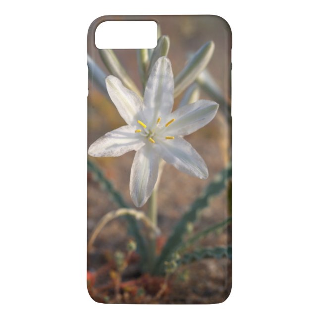 Wildblumen der Wüstenlilie Case-Mate iPhone Hülle (Rückseite)