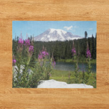 Wildblumen des Nationalparks Mount Rainier Foto