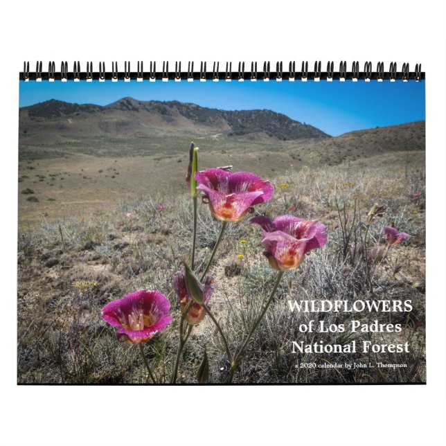 Wildblumen des Naturwaldes Los Padres Kalender (Titelbild)