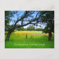 Wildblumen des Texas Hill Country