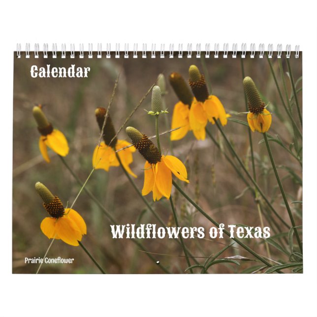 Wildblumen des Texas-Kalenders Kalender (Titelbild)