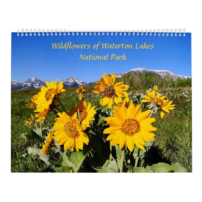 Wildblumen des Waterton See-Nationalparks Kalender (Titelbild)