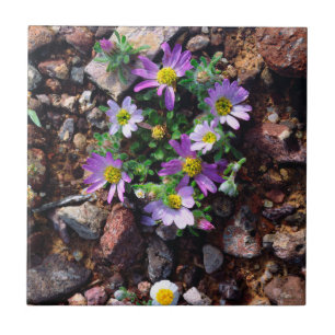 Wildblumen Fliese