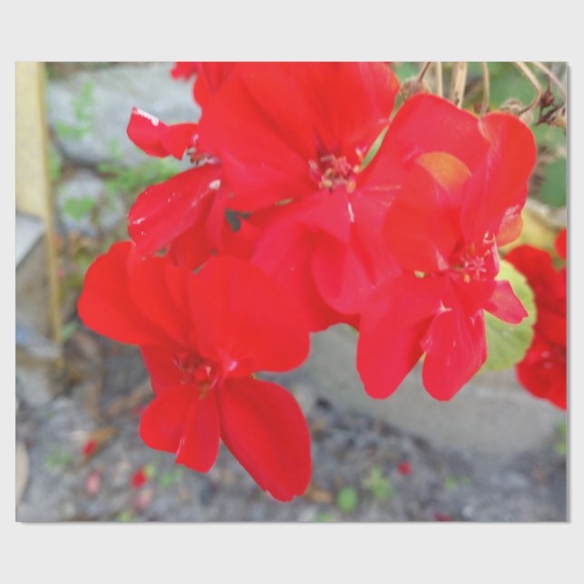 Wildblumen-Geschenkpapier Geschenkpapier (Flach)