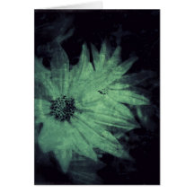 Wildblumen Grunge Jeden Anlaß Grußkarte