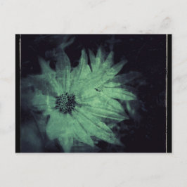 Wildblumen Grunge Postkarte