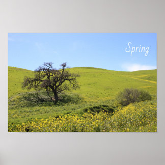 Wildblumen Hillside Foto Eiche Landschaftliches Fo Poster