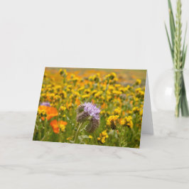 Wildblumen im Blut Karte